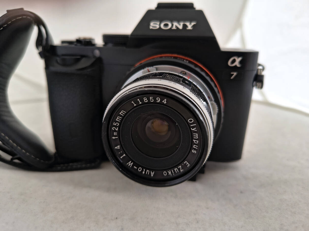 jpg_lens/24mm_olympus_pen_IMG_20250705_152940250.jpg