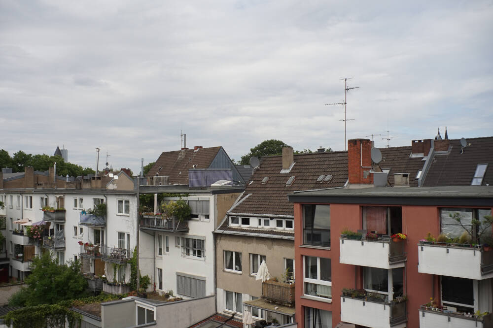 jpg_sample/w_crop_crop_25mm_olympus_pen_f_16_DSC01922.jpg